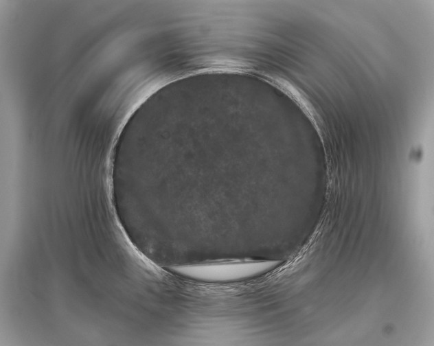 X0000096131243200801251009