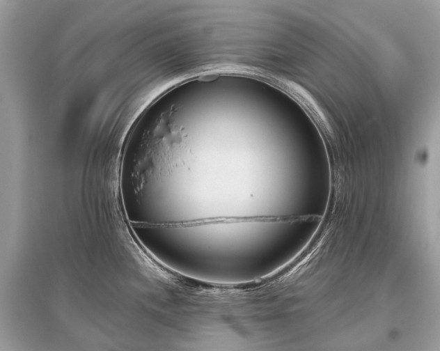 X0000096131244200801251009