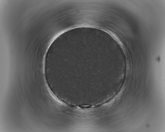 X0000096131246200801251009