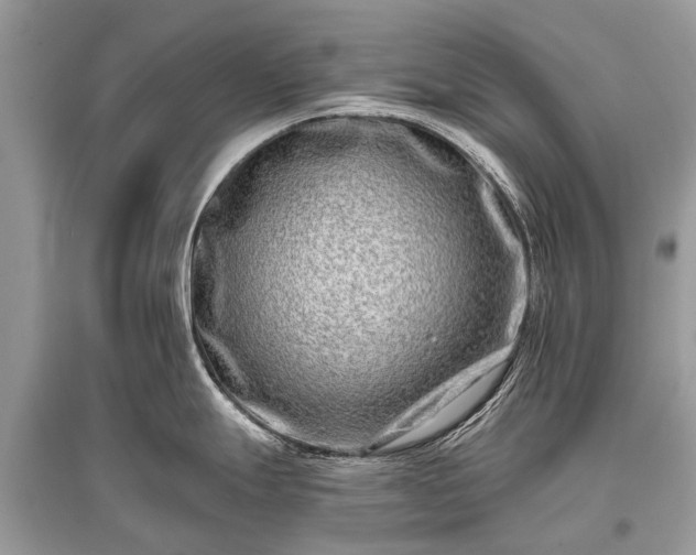 X0000096131247200801251009