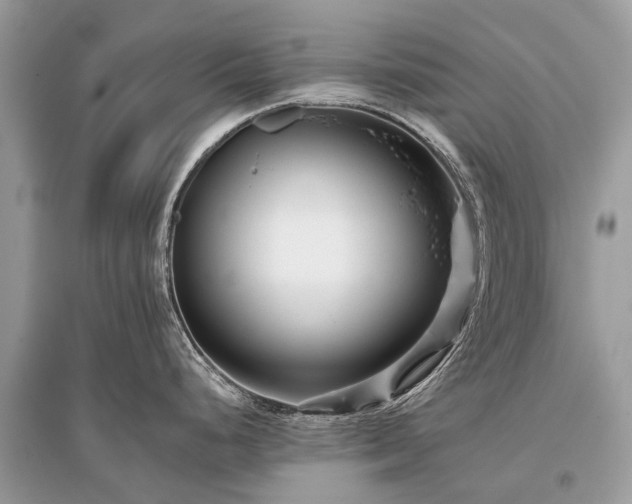 X0000096131248200801251009
