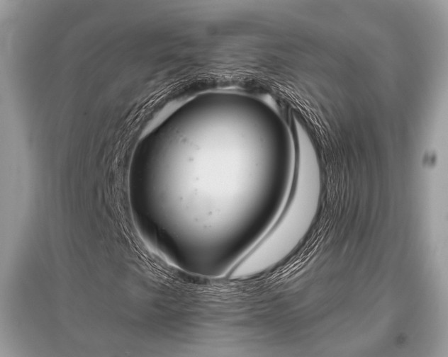 X0000096131249200801251008