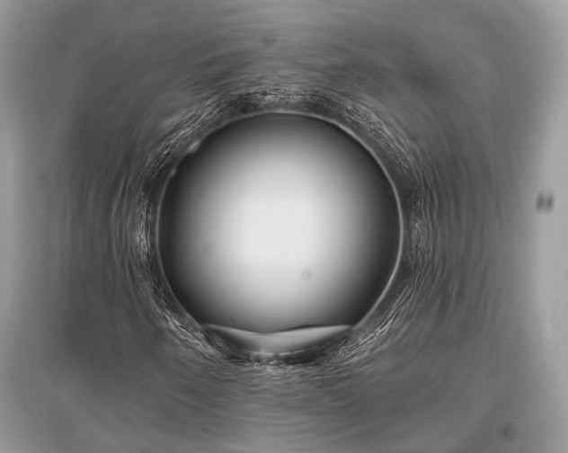 X0000096131250200801251008