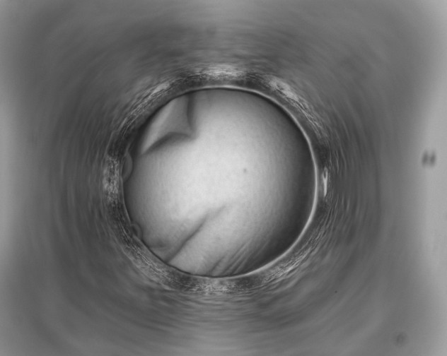 X0000096131251200801251008
