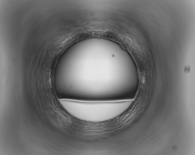 X0000096131252200801251008