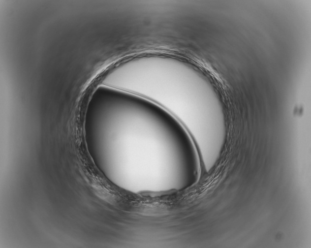 X0000096131256200801251008