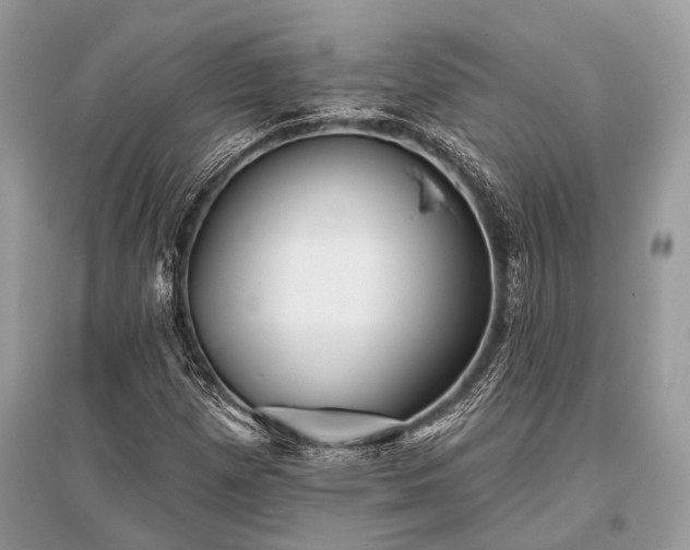 X0000096131257200801251008