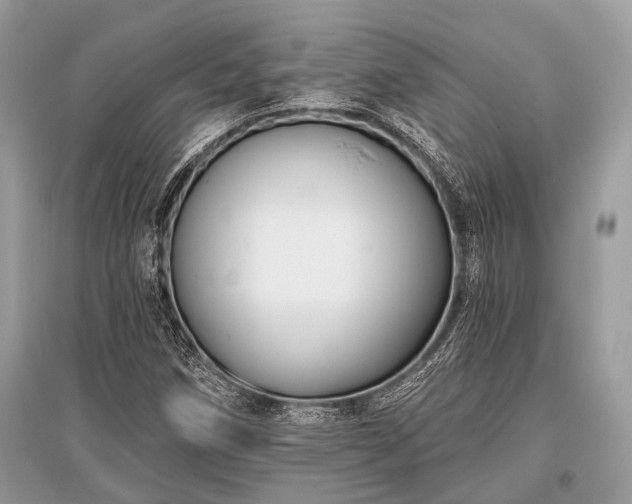 X0000096131258200801251008