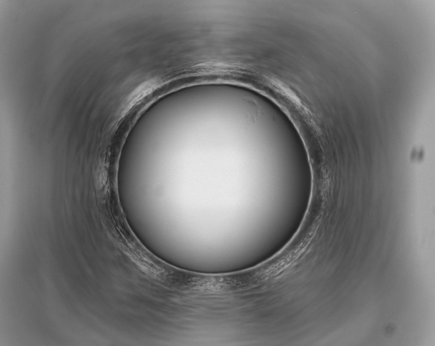 X0000096131259200801251008