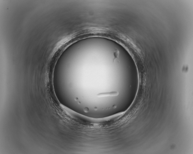 X0000096131261200801251008