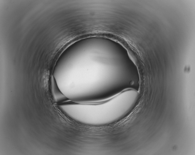 X0000096131265200801251008