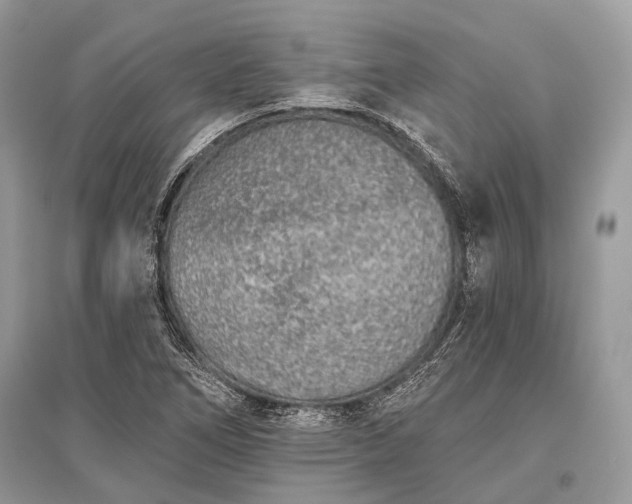 X0000096131266200801251008