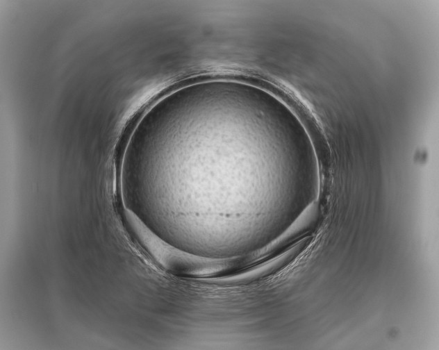X0000096131269200801251007
