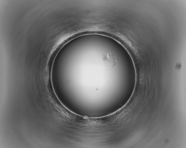 X0000096131270200801251007