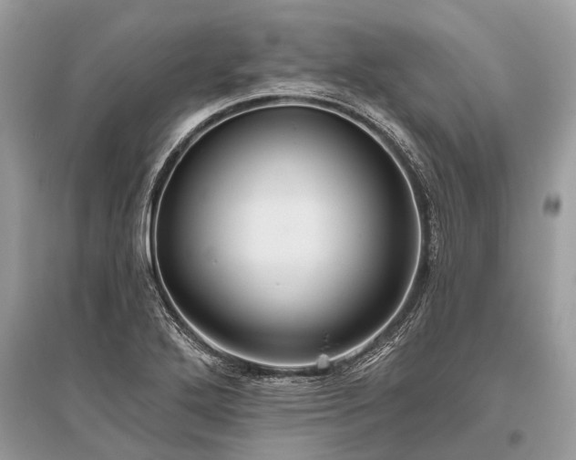 X0000096131272200801251007