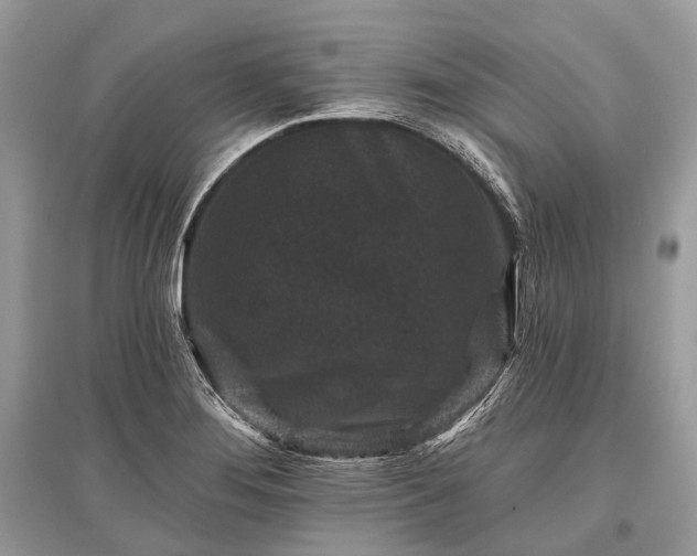 X0000096131276200801251007