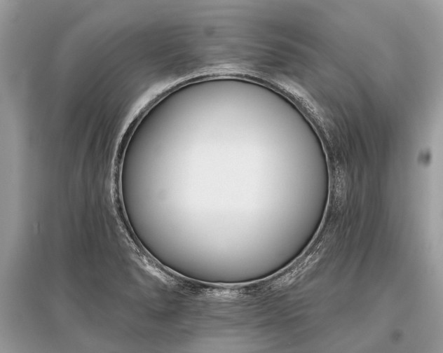 X0000096131278200801251007