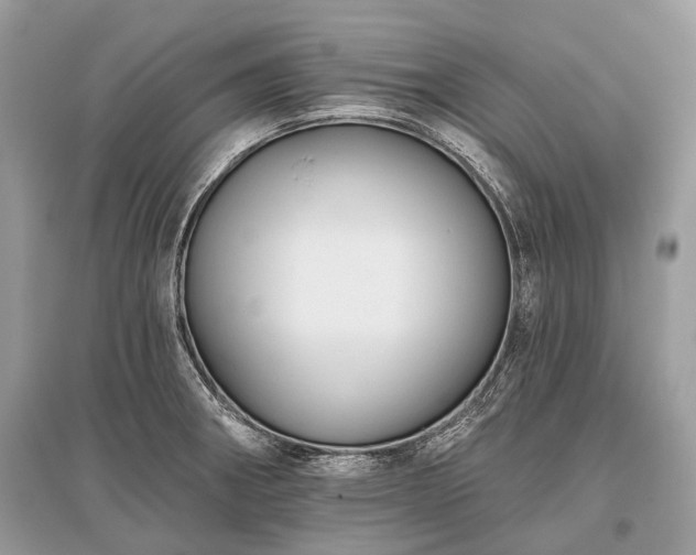 X0000096131282200801251007