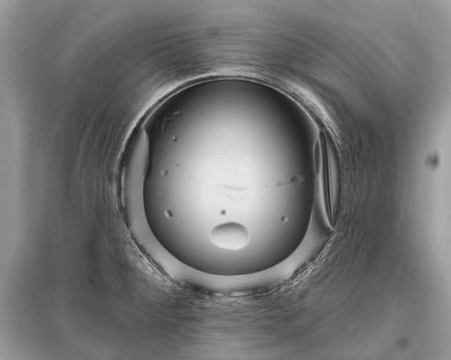 X0000096131284200801251007