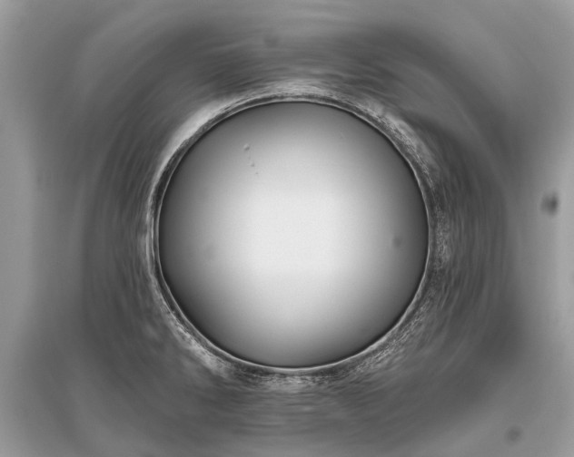 X0000096131286200801251007