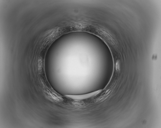 X0000096131299200801251006