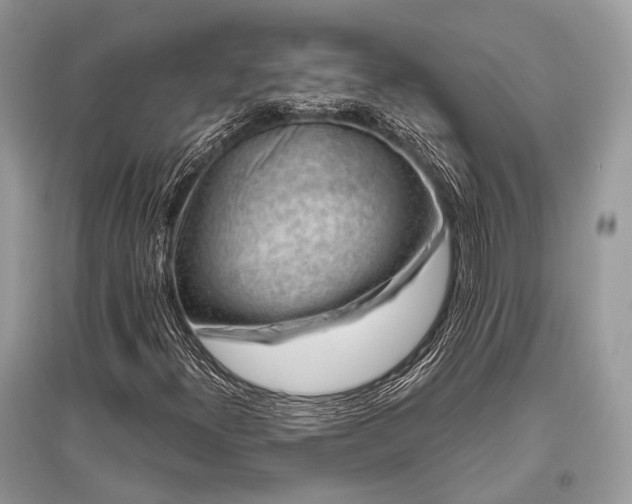 X0000096131300200801251006
