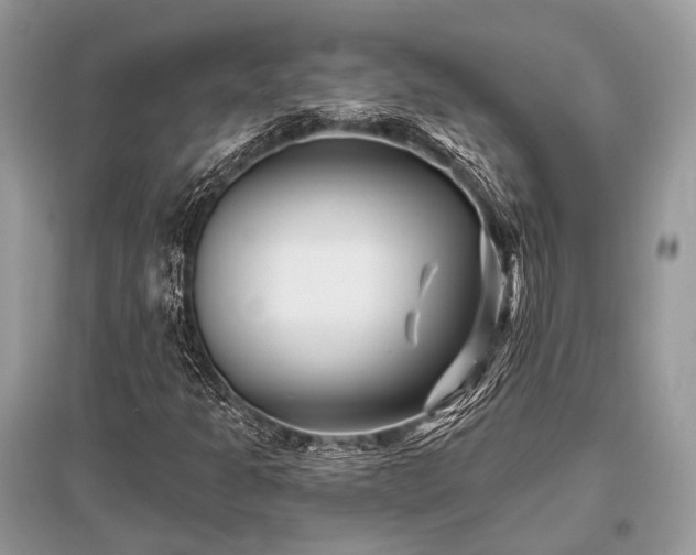 X0000096131301200801251006
