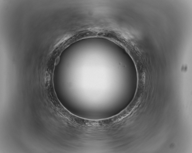 X0000096131302200801251006