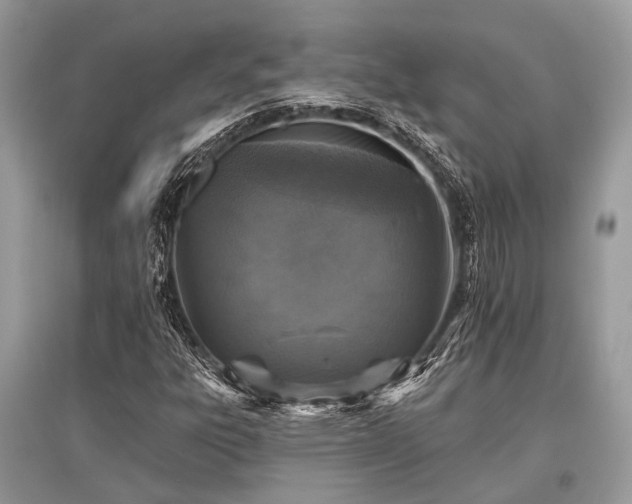 X0000096131303200801251006