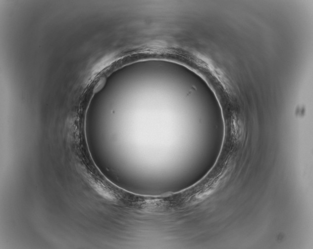 X0000096131304200801251006