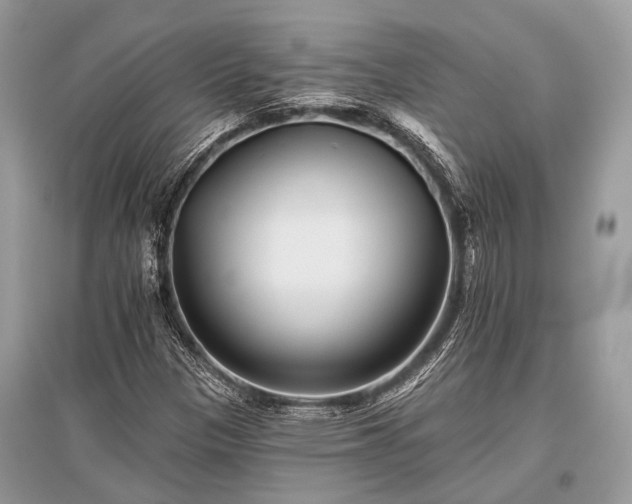 X0000096131305200801251006