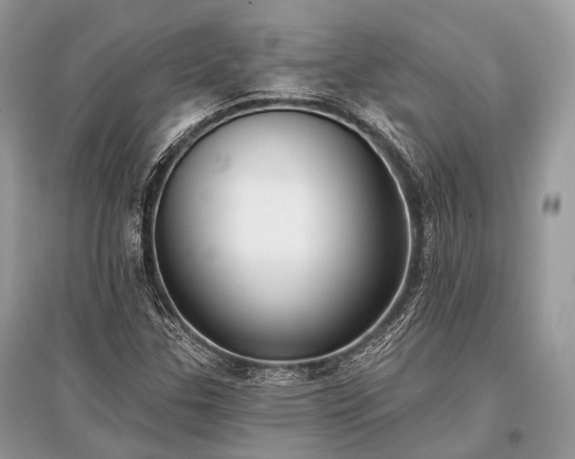 X0000096131307200801251006