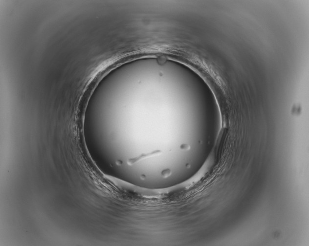 X0000096131308200801251006