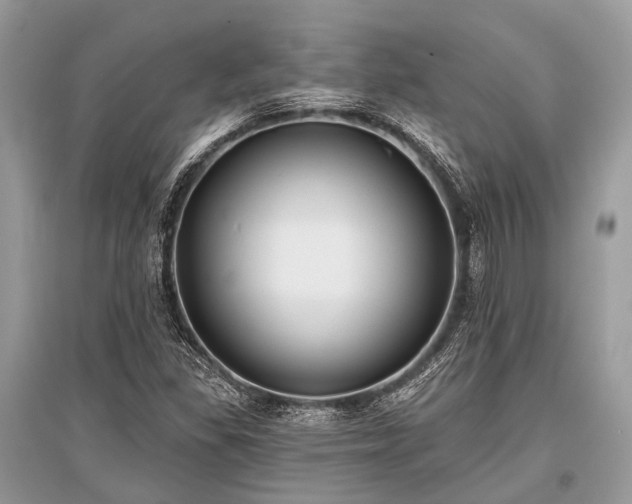 X0000096131309200801251006