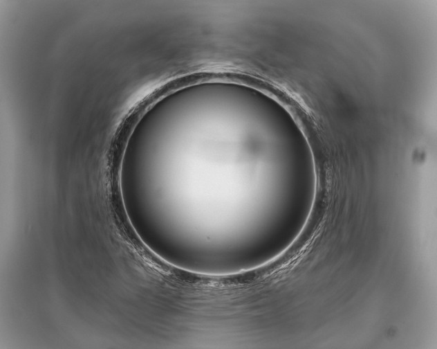 X0000096131311200801251006