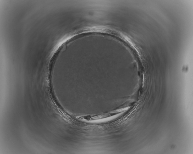 X0000096131312200801251006