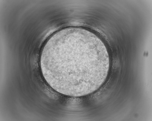 X0000096131314200801251007
