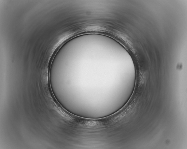X0000096131322200801251007
