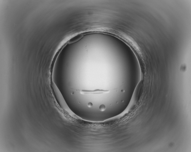 X0000096131332200801251007