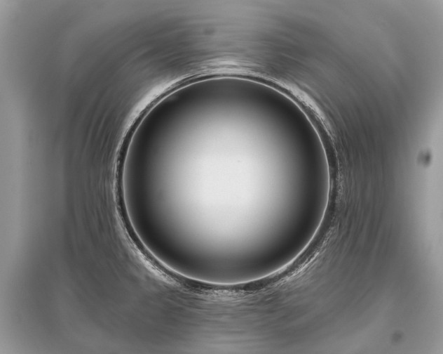 X0000096131333200801251007