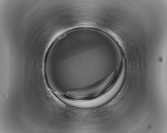 X0000096131334200801251007