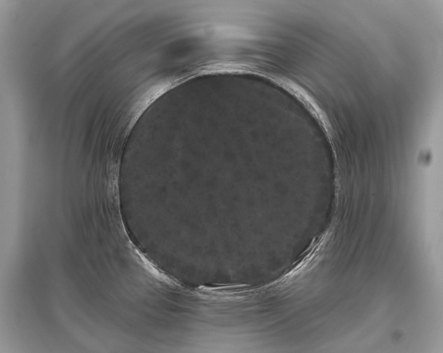 X0000096131337200801251007