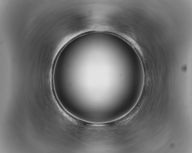 X0000096131343200801251007
