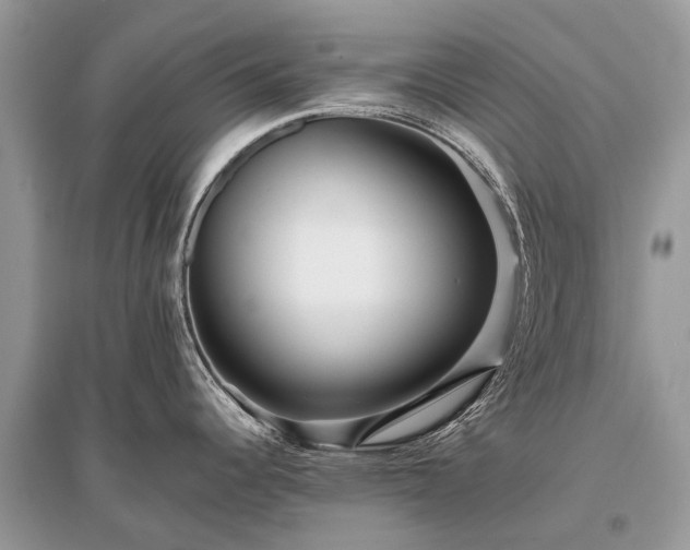 X0000096131344200801251007