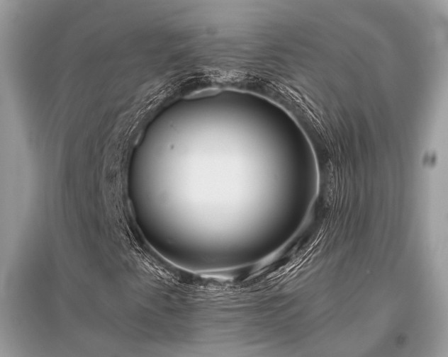 X0000096131345200801251006