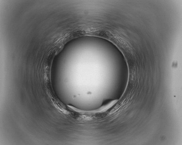 X0000096131346200801251006