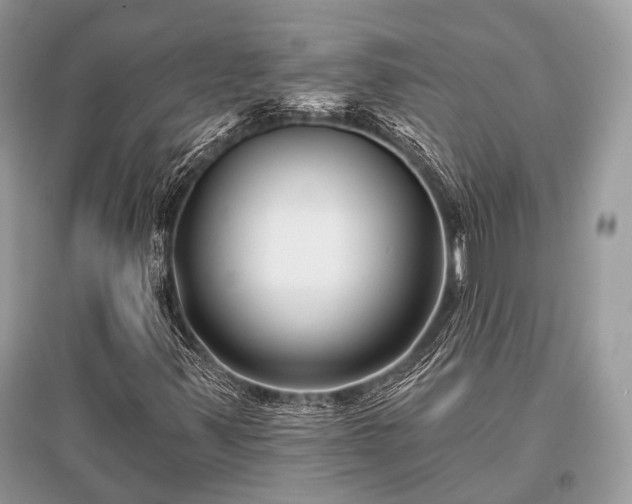 X0000096131347200801251006