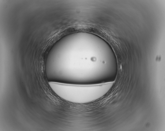 X0000096131348200801251006