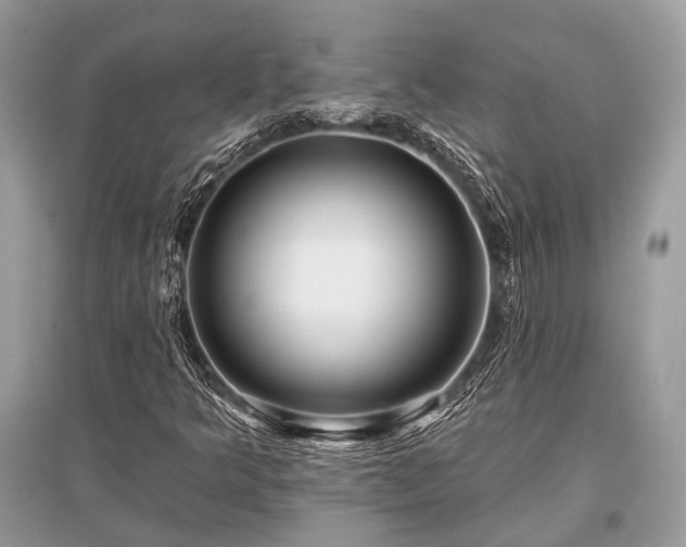 X0000096131349200801251006