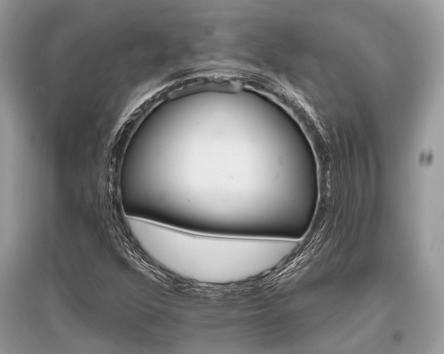 X0000096131352200801251006